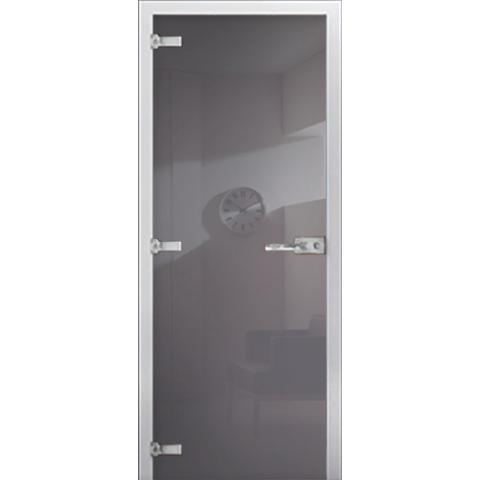 Cтеклянная межкомнатная дверь DS RAL 7004
