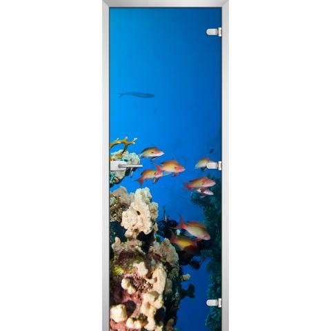 Дверь стеклянная Underwater World-10