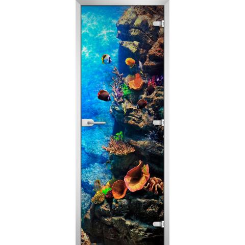 Дверь стеклянная Underwater World-15